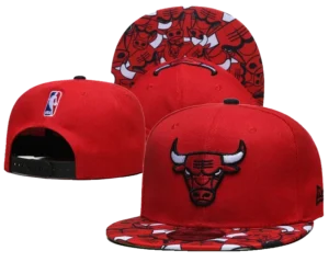 Gorra "Chicago Bulls"
