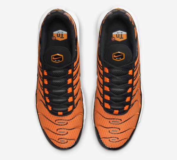 Nike Air Max Plus TN "Orange"