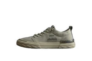 Converse DIOR | GT 866 41