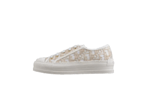 Converse DIOR | LS 12 22 88