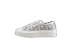 Converse DIOR | CD 09 1837