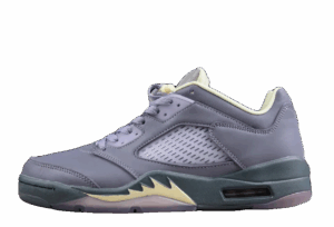Air Jordan 5 Retro | "Indigo Haze"