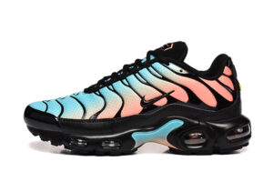 Nike Air Max Plus TN «Bi-color Pastel»