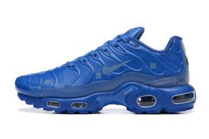 Nike Air Max Plus TN «Blue»