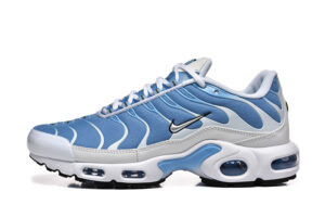 Nike Air Max Plus TN «Blue/White»