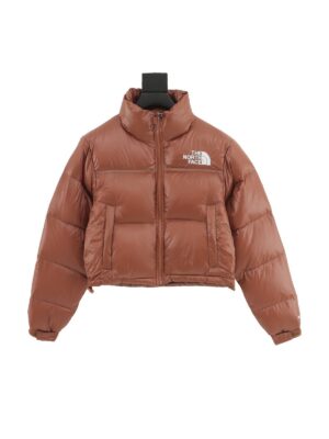 Anorak The North Face «Brown»