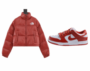 Pack Anorak The North Face x Nike Dunk Low